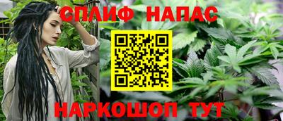 ешки Будённовск