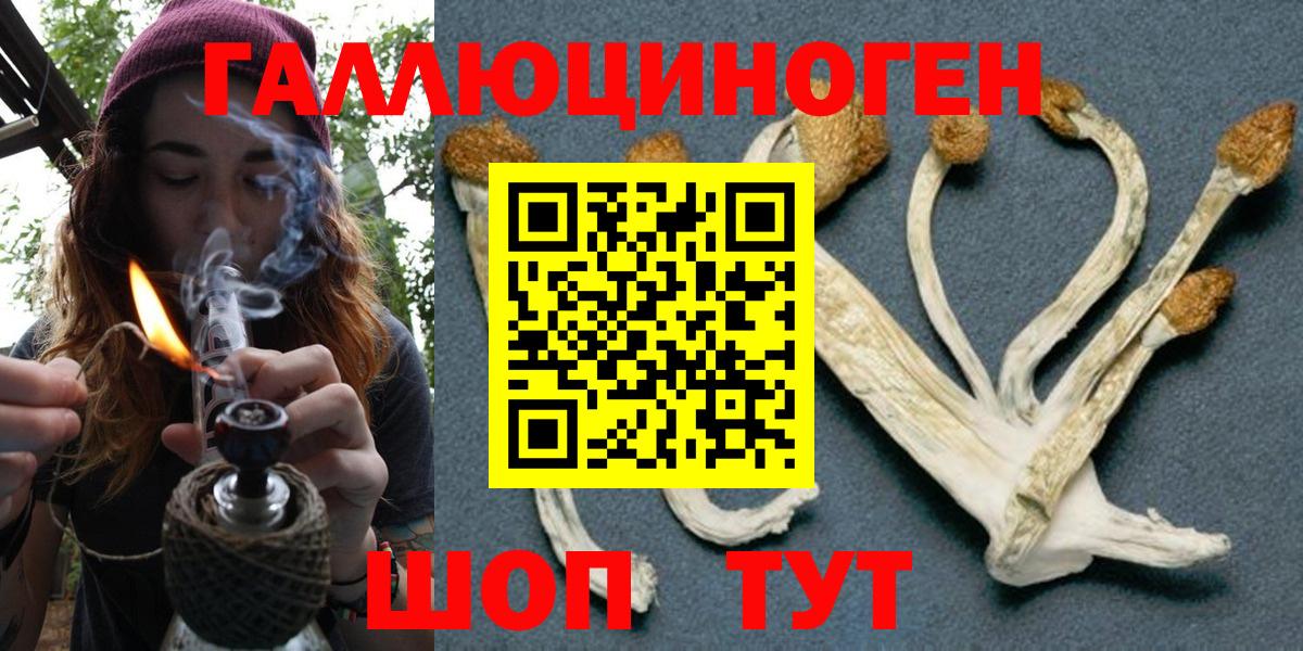 Саратов  Галлюциногенные грибы GOLDEN TEACHER  Вход с VPN 